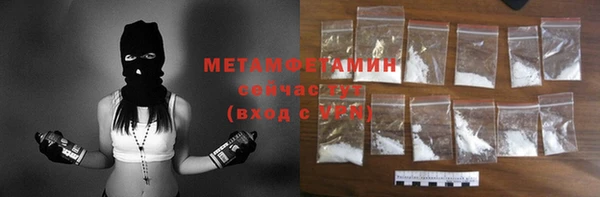 сатива Новодвинск