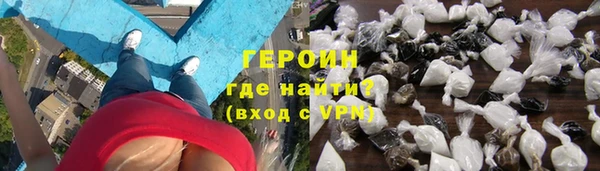 сатива Новодвинск