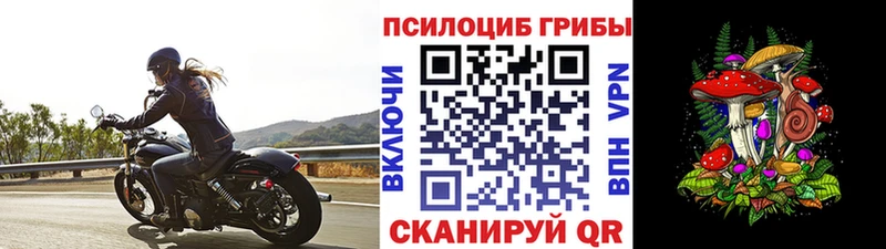 купить  сайты  Печоры  Псилоцибиновые грибы мицелий 